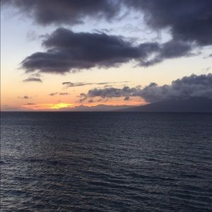 Meet your Posher, Shelly