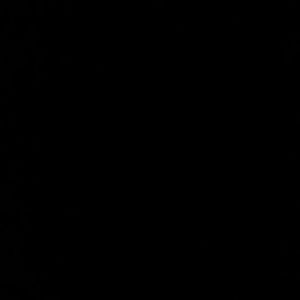 Meet your Posher, Des