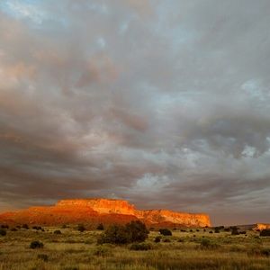 Meet your Posher, Bernadette