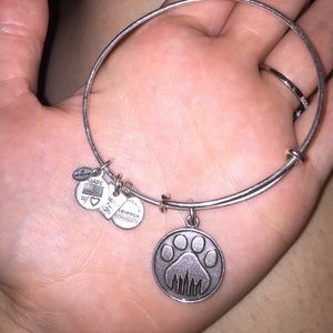 Alex and ani paw charm bracelet