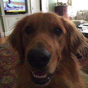 Meet your Posher, Carter