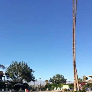 Meet your Posher, Carmen