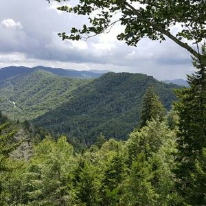 Meet your Posher, Misty