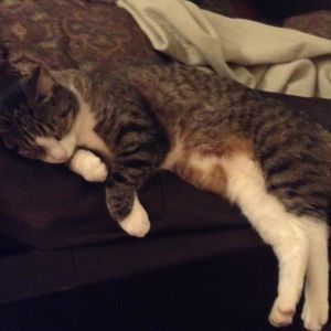 Meet your Posher, Ashlyn