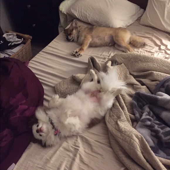 Meet your Posher, Jamie