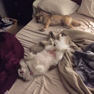 Meet your Posher, Jamie