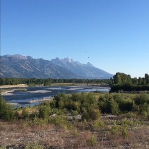 Meet your Posher, Molly