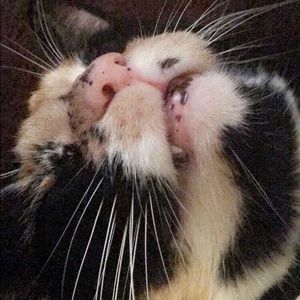 Meet your Posher, Jamie