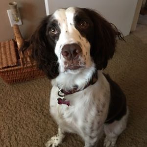 Meet your Posher, Aptil