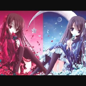 Meet your Posher, Cassidy