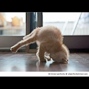 Meet your Posher, Beth