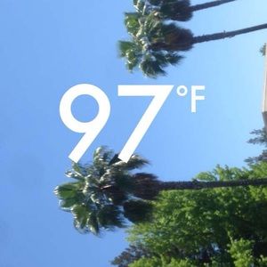 Meet your Posher, Sam