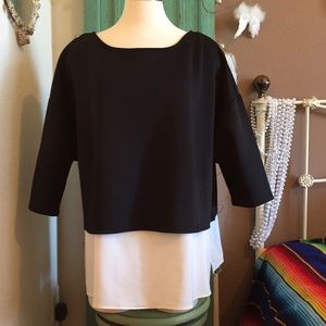 Beautiful Two-tone Blouse