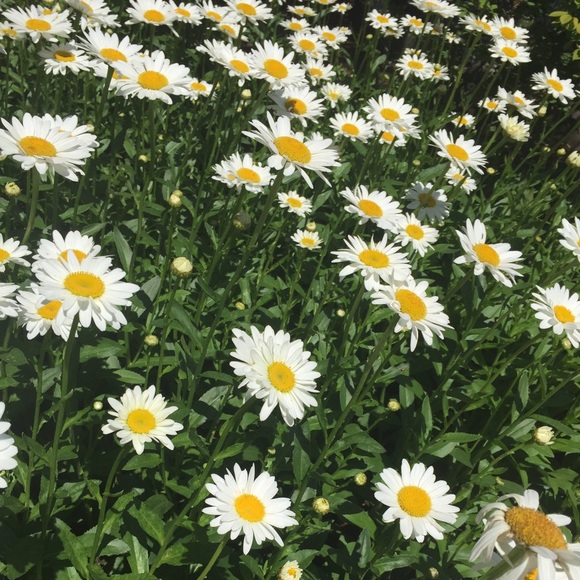 Meet your Posher, Cassey