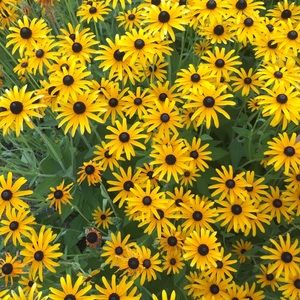 Meet your Posher, Melisa