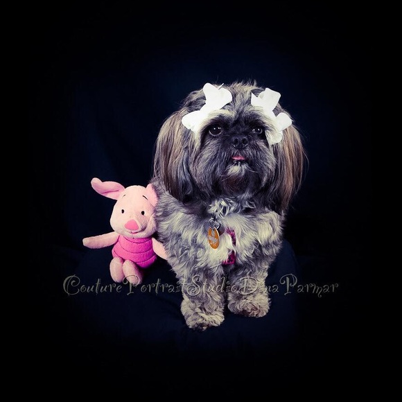 Meet your Posher, Lisa