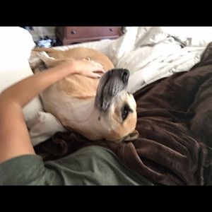 Meet your Posher, Morgan