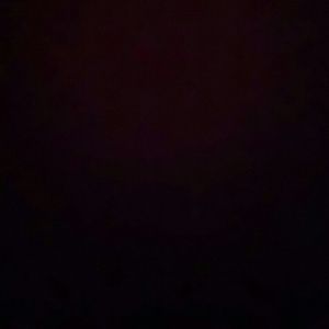 Meet your Posher, Lee