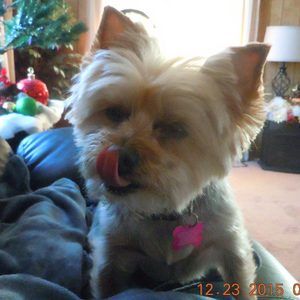 Meet your Posher, Linda