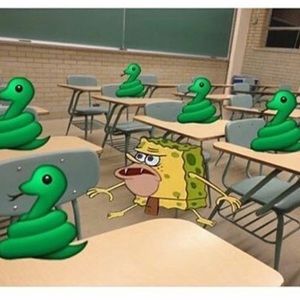 Meet your Posher, Darlene