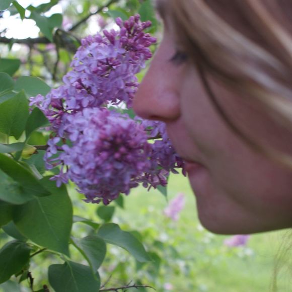 Meet your Posher, Shelby