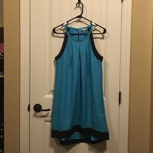 Dress-- naked zebra
