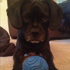 Meet your Posher, Lindsay