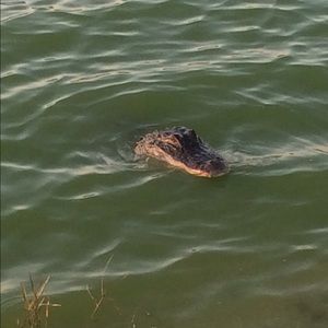 Meet your Posher, Annie