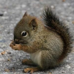 Meet your Posher, Danqing