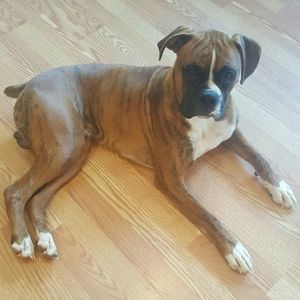 Meet your Posher, Billie