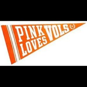 PINK Victoria's Secret Other - Pink VS Collectors College Banner PINK Victoria's Secret Other - Pink VS Collectors College Banner