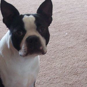 Meet your Posher, Vicki