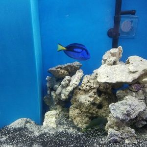 Meet your Posher, Tim