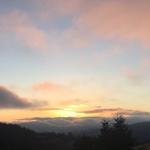 Meet your Posher, Zvonko