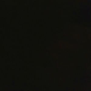 Meet your Posher, Leonardo