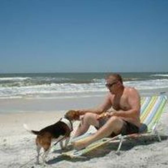 Meet your Posher, Milo - Picture 1 of 1