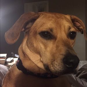 Meet your Posher, Joan