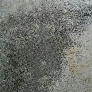 Meet your Posher, Willie