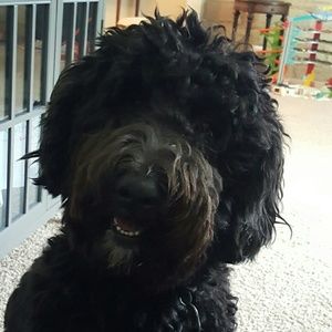 Meet your Posher, Heidi