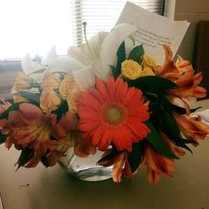 Meet your Posher, Lindsay