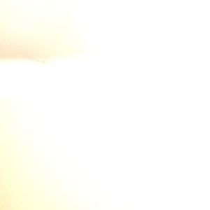 Meet your Posher, Tabatha