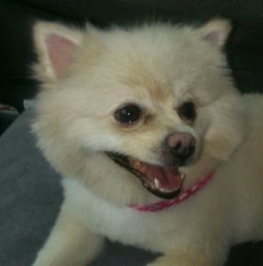 Meet your Posher, Beatriz