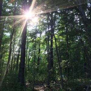 Meet your Posher, Ausrine