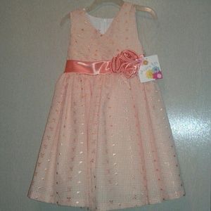 Little Girls dress