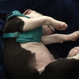 Meet your Posher, Danielle