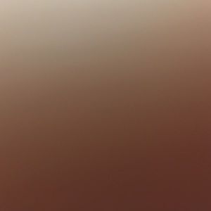 Meet your Posher, Mallory