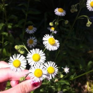 Meet your Posher, Rylee