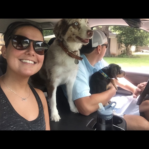 Meet your Posher, Shelby - Picture 1 of 1