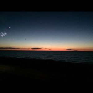 Meet your Posher, Lily