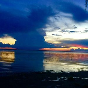 Meet your Posher, Deanie